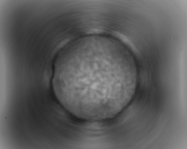 X0000092111217200709262153