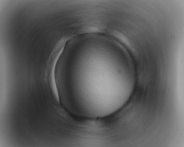 X0000092111218200709262153