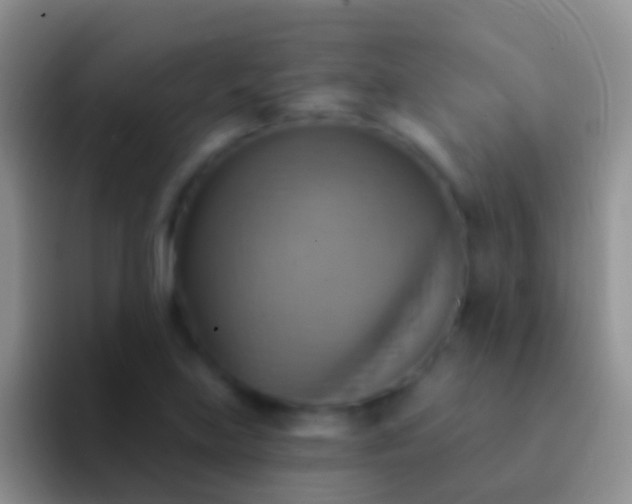 X0000092111219200709262153