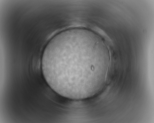 X0000092111220200709262153