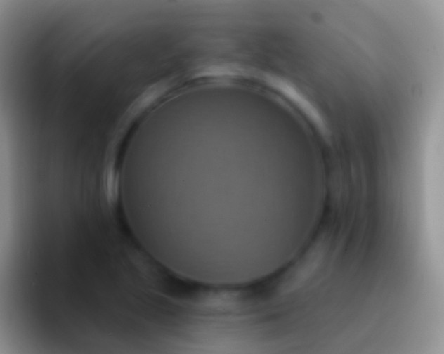 X0000092111221200709262153