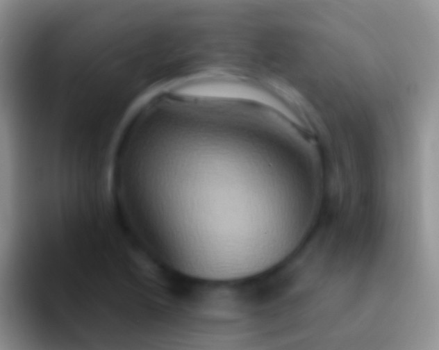 X0000092111222200709262153