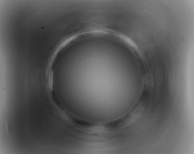 X0000092111223200709262153