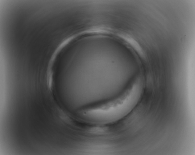 X0000092111224200709262153