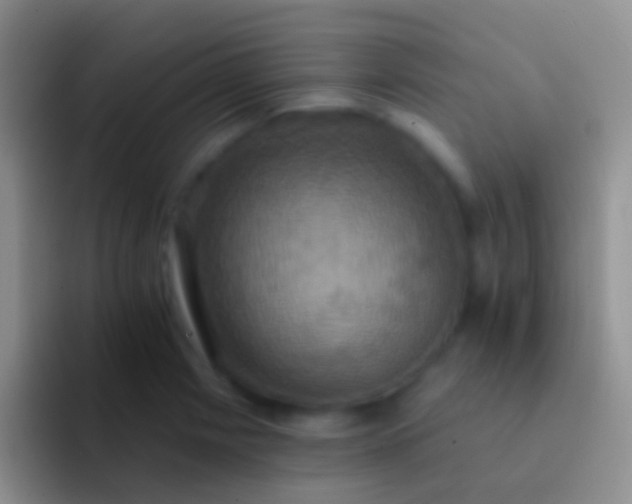 X0000092111225200709262153