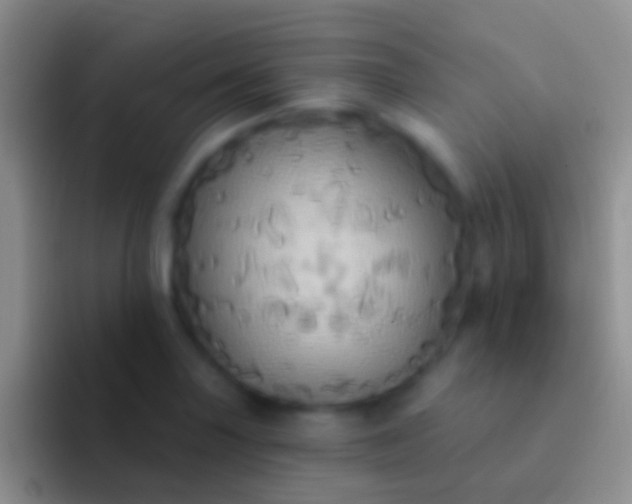 X0000092111227200709262153