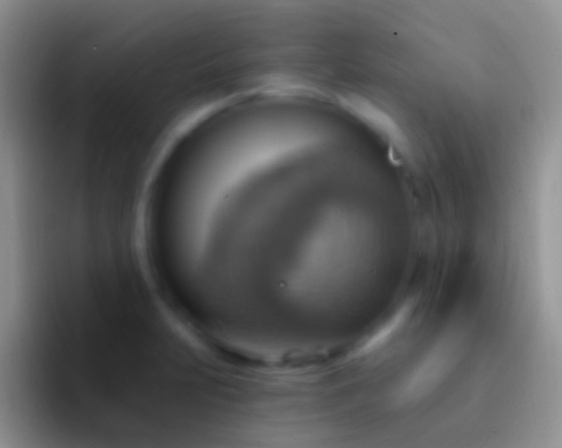 X0000092111231200709262153