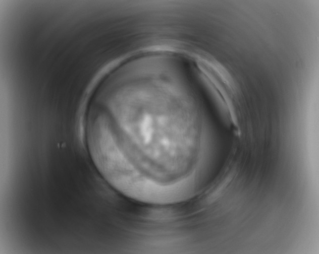 X0000092111232200709262153