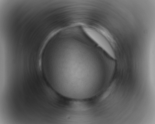 X0000092111234200709262153