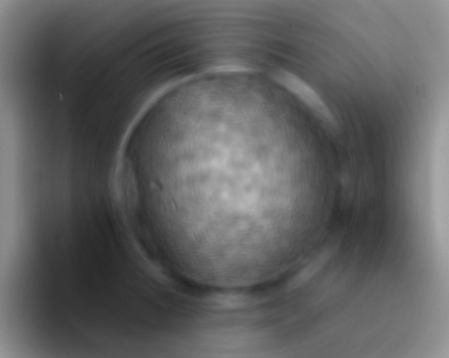 X0000092111236200709262153