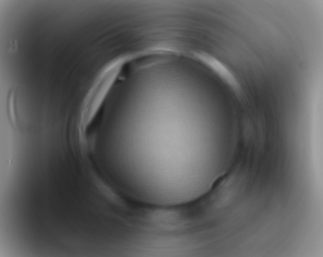 X0000092111238200709262153