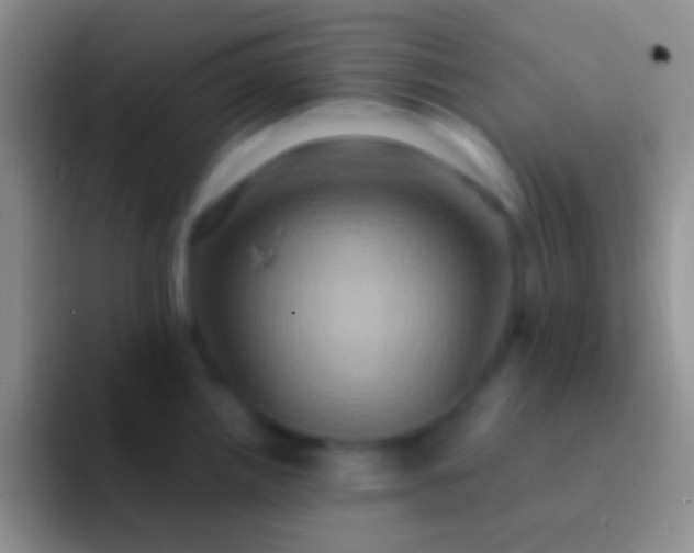 X0000092111242200709262153