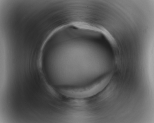 X0000092111244200709262153