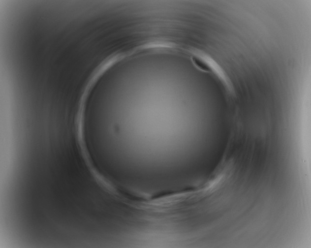 X0000092111245200709262153