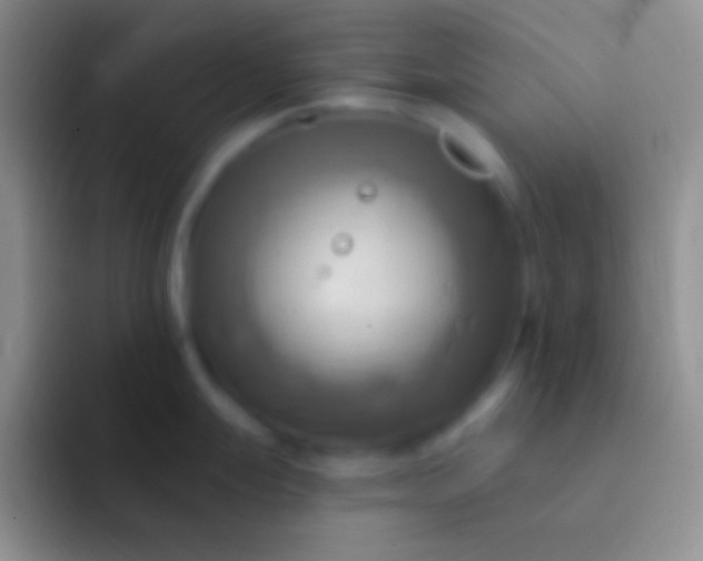 X0000092111247200709262153