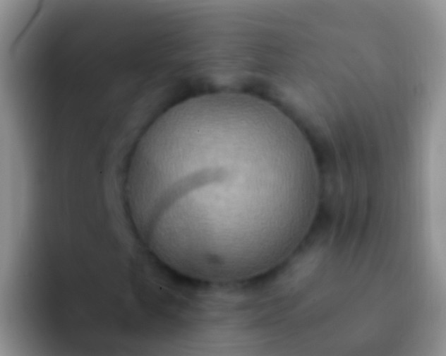 X0000092111249200709262153