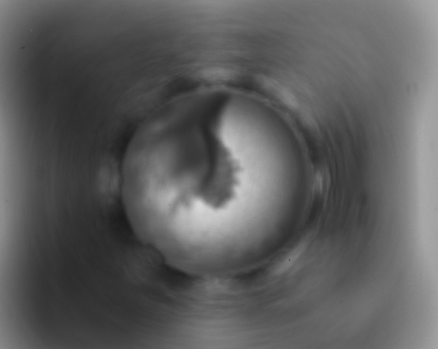 X0000092111251200709262153