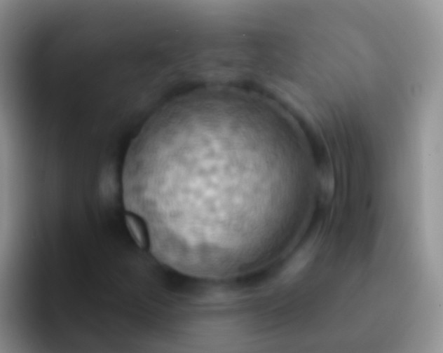 X0000092111252200709262153