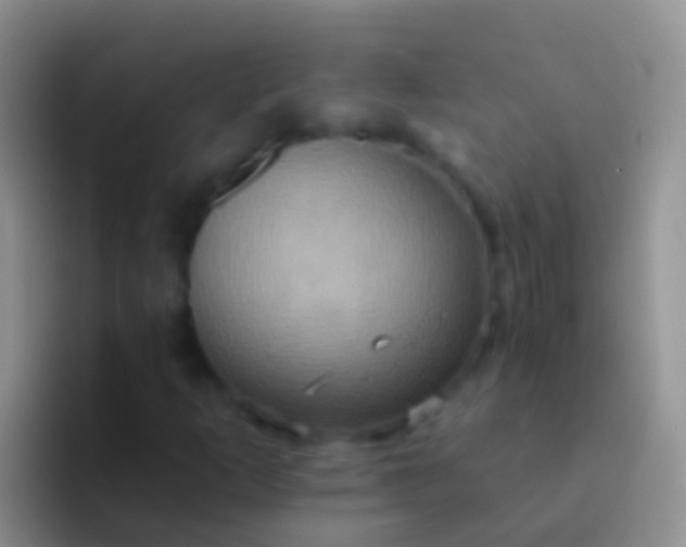 X0000092111253200709262153