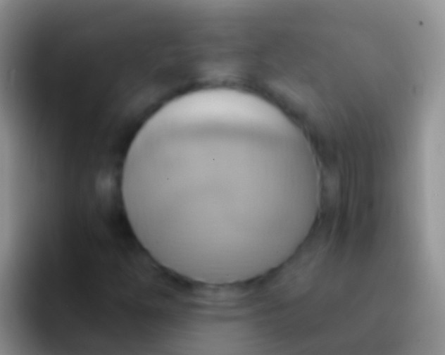 X0000092111254200709262153