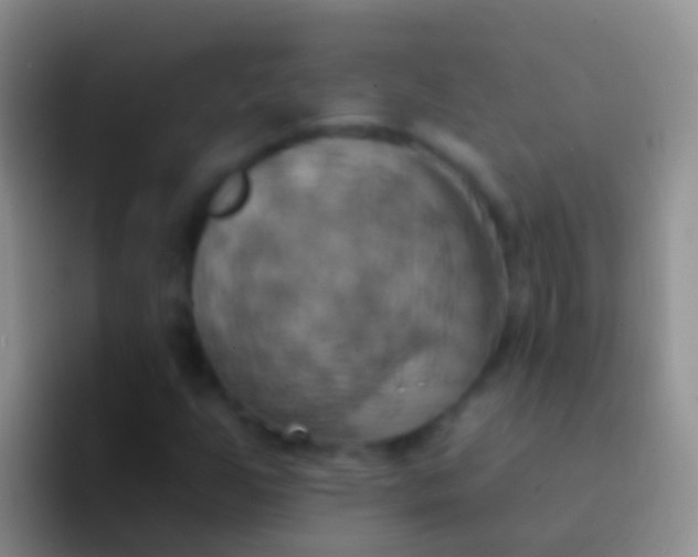 X0000092111255200709262153