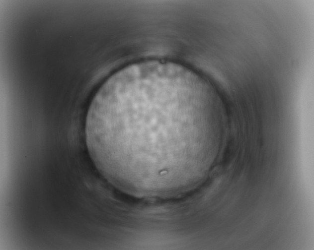 X0000092111256200709262153