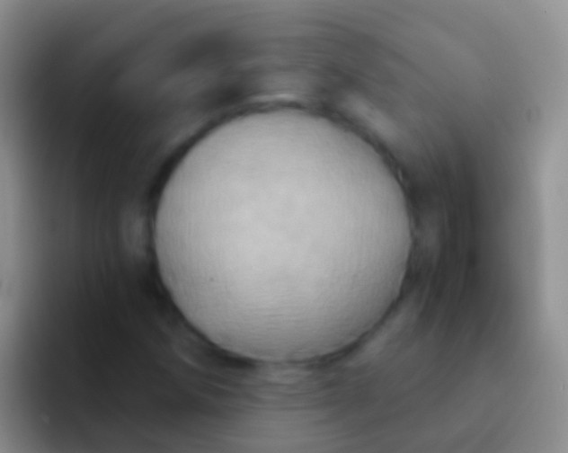 X0000092111258200709262153