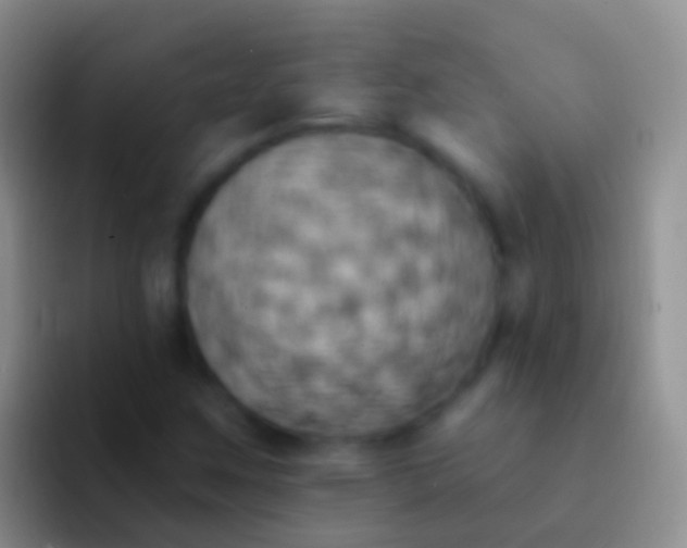 X0000092111259200709262153