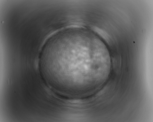 X0000092111260200709262153