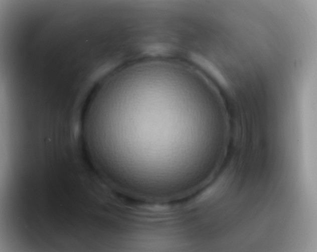 X0000092111261200709262153