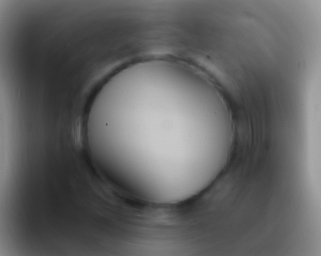 X0000092111262200709262153