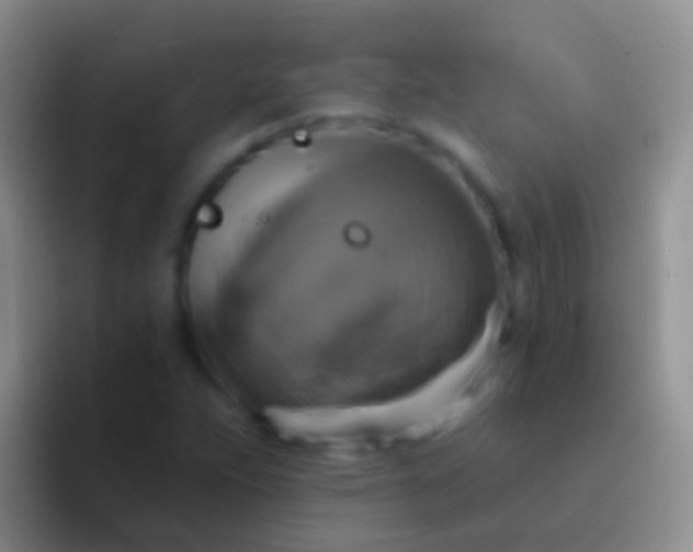 X0000092111263200709262153