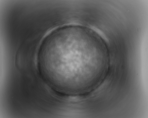 X0000092111264200709262152