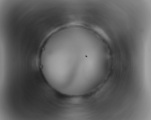 X0000092111268200709262152