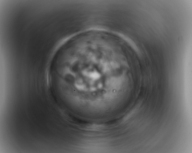 X0000092111271200709262152