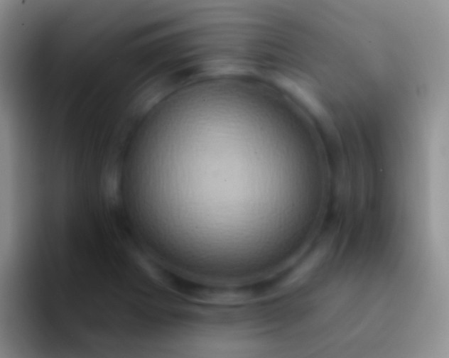 X0000092111273200709262152