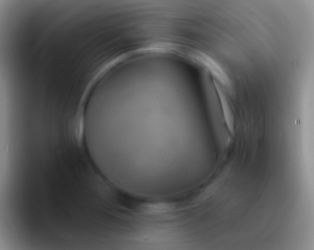 X0000092111276200709262152