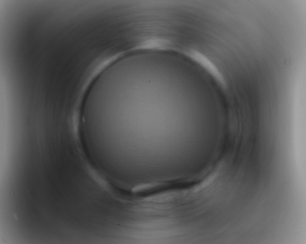 X0000092111277200709262152