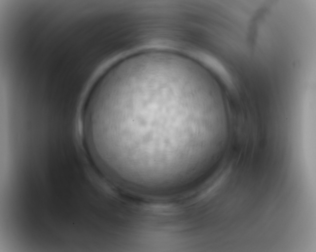 X0000092111280200709262152