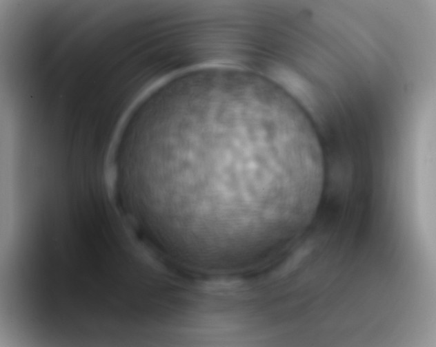 X0000092111284200709262152