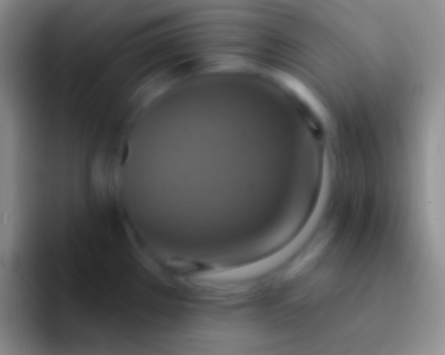 X0000092111289200709262152