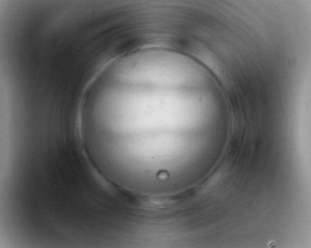 X0000092111290200709262152