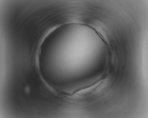 X0000092111293200709262152