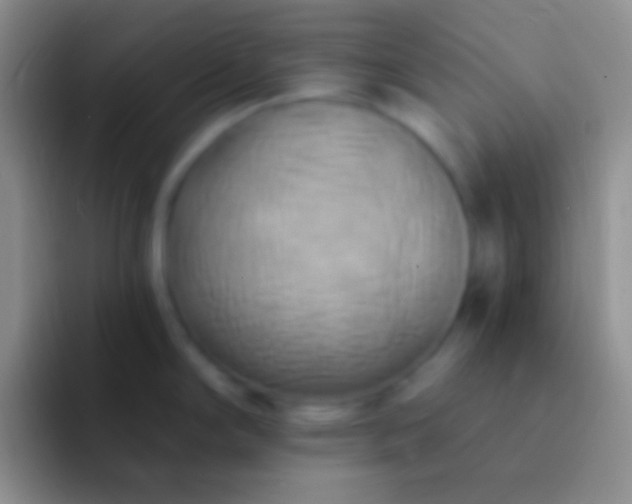 X0000092111294200709262152