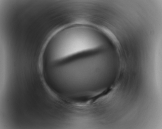 X0000092111295200709262152