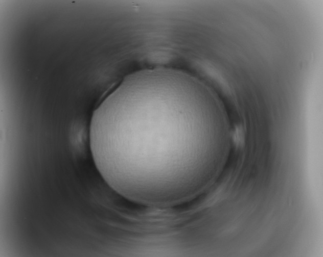 X0000092111299200709262152