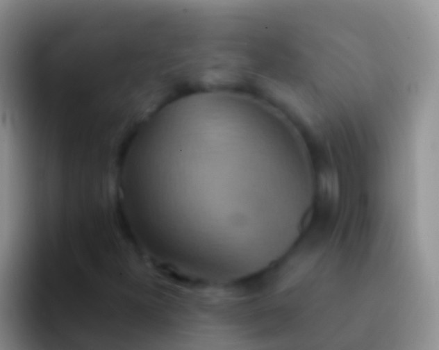 X0000092111300200709262152