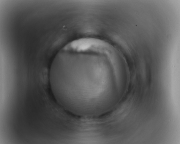 X0000092111301200709262152