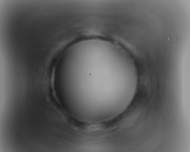 X0000092111303200709262152