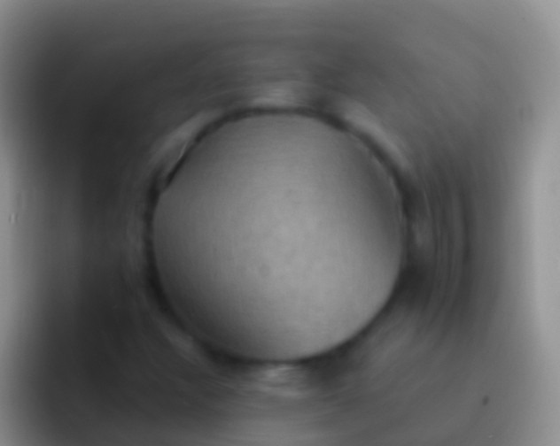 X0000092111304200709262152